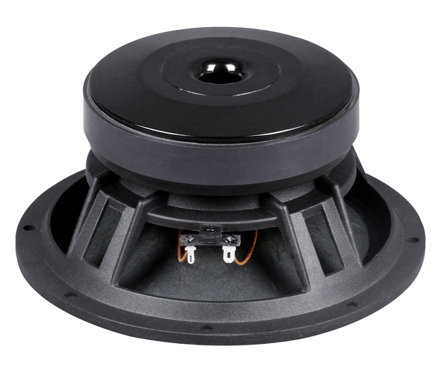 PL820A Woofer en ferrite de 8 pouces